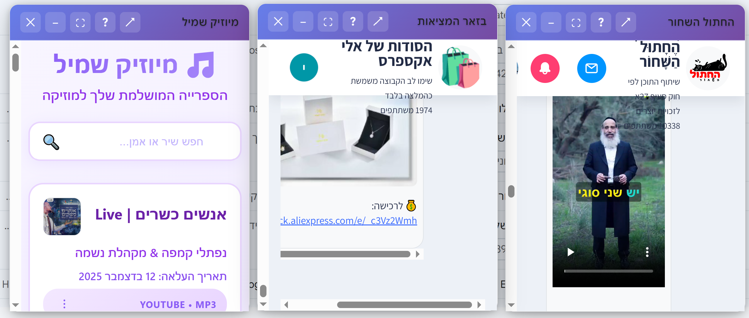 SafeSpaces ריבוי חלונות